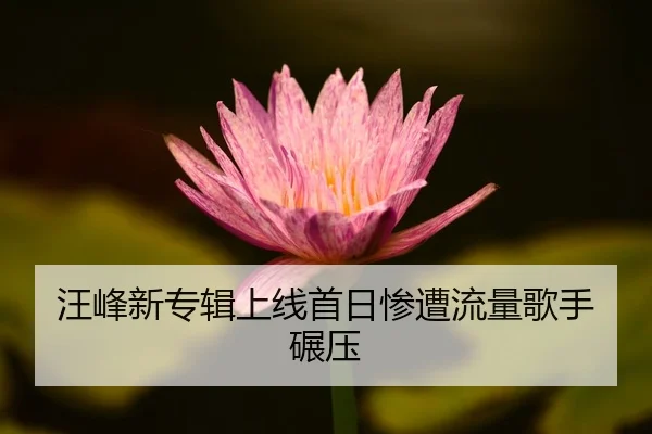 汪峰新专辑上线首日惨遭流量歌手碾压